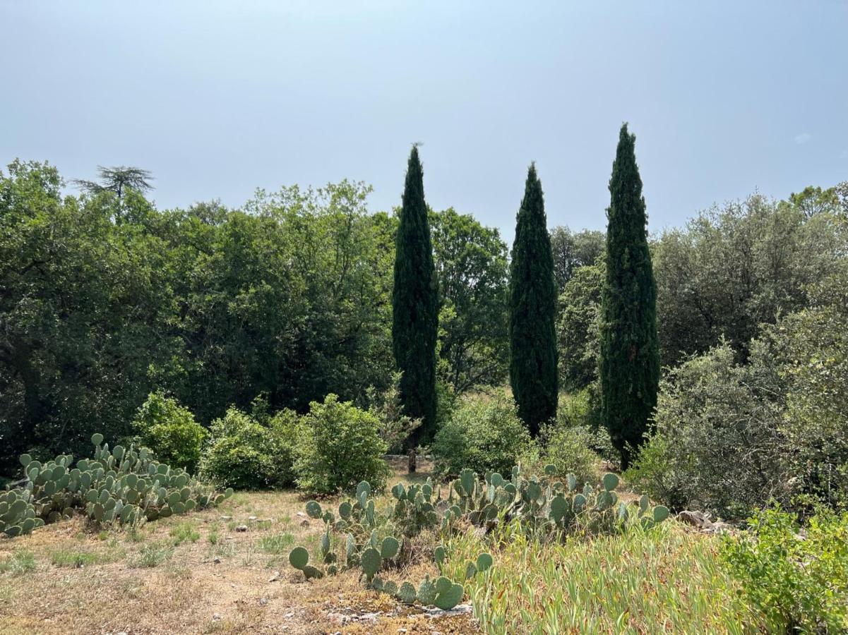 Luxurious Family House With Pool In Ardeche. Villa เลส์วองส์ ภายนอก รูปภาพ